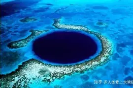 大坂直美携手姚迪战意甲悬念揭晓(天津女排姚迪去哪里了)